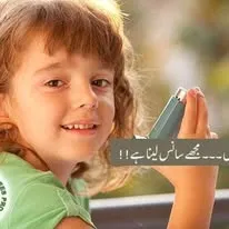 Green Seekers Activity